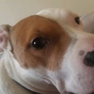 Meet your Posher, Rhonda